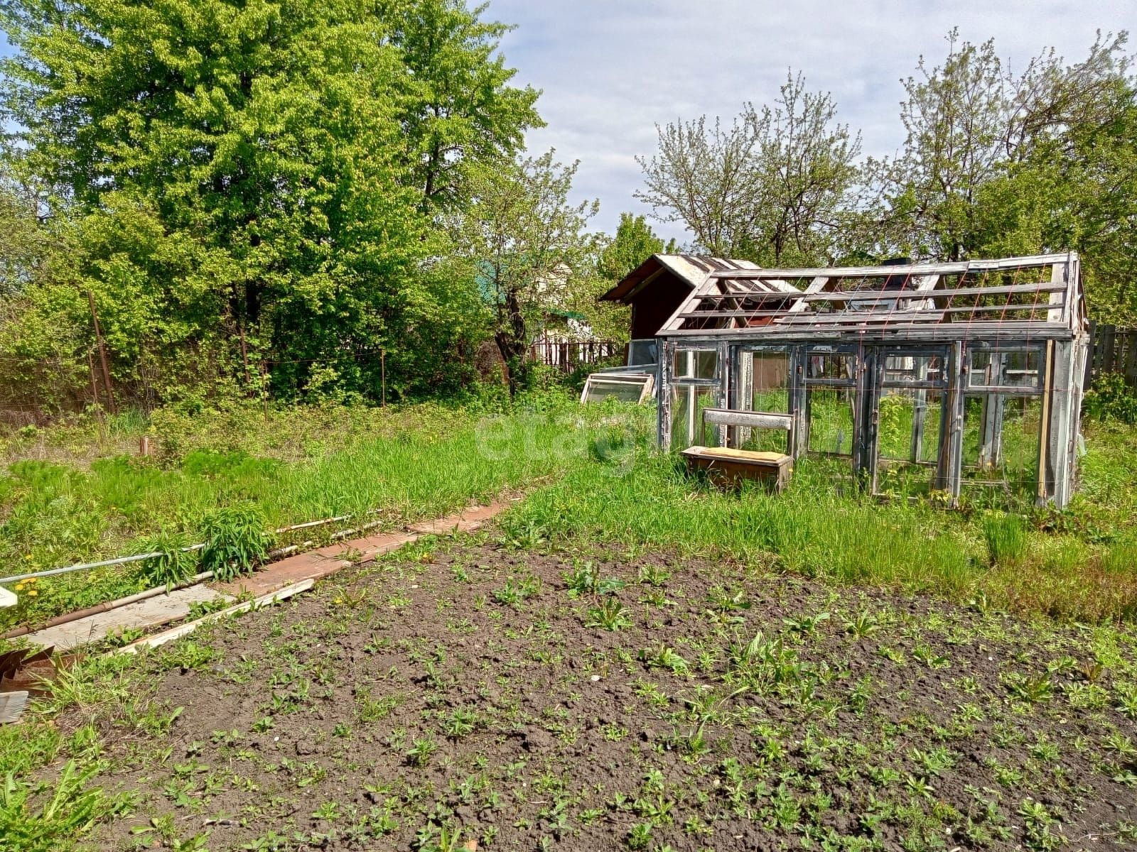 Дачи тамбов пригородный лес. СНТ Лесное Тамбов.