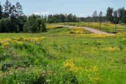 7 соток, участок, ИЖС