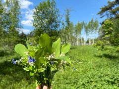 25 соток, участок, ИЖС