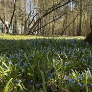 5 соток, участок, ИЖС