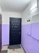 65 м², 3-комн. квартира, 10/10 этаж