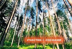 11 соток, участок