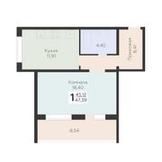 47,4 м², 1-комн. квартира, 1/11 этаж