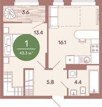 43,2 м², 1-комн. квартира, 1/17 этаж