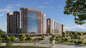 STRUKTURA DEVELOPMENT