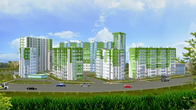 Березовая роща