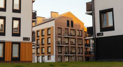 Новая Жизнь