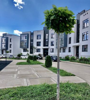 Продажа квартиры-студии 30 м², 2/3 этаж