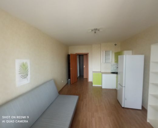 Аренда квартиры-студии 24,1 м², 6/24 этаж