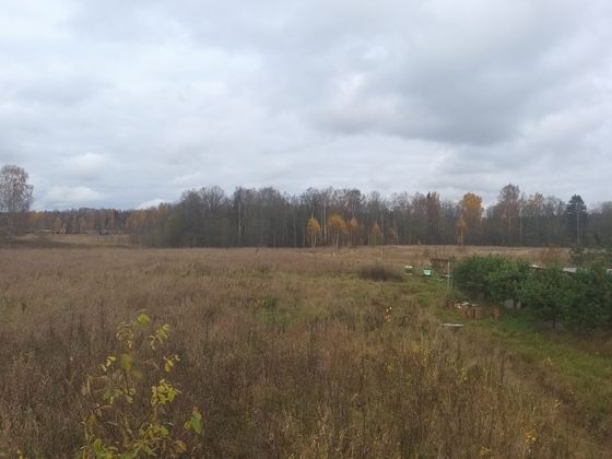 Продажа участка, 8 соток