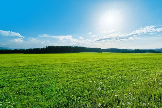 Продажа участка, 12 000 соток