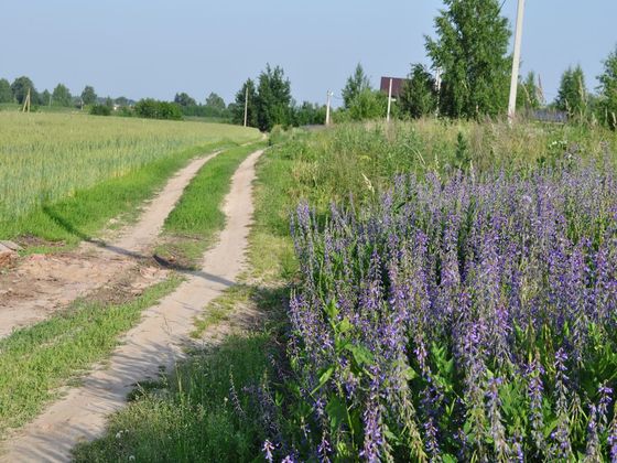 Продажа участка, 12 соток