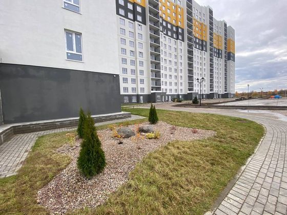 Продажа 2-комнатной квартиры 55,8 м², 2/16 этаж