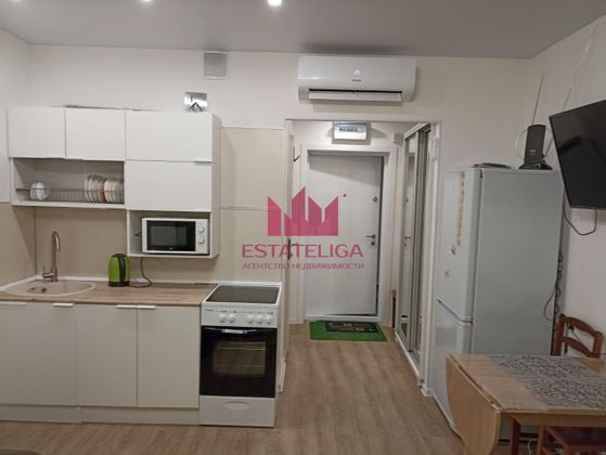 Аренда квартиры-студии 21,5 м², 24/25 этаж