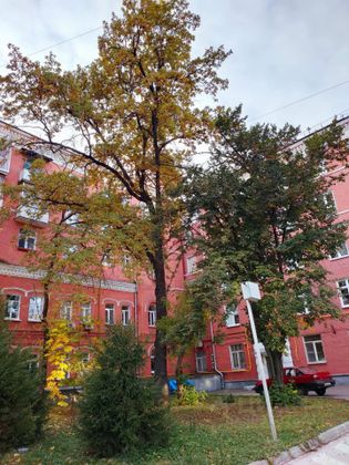 Продажа 2-комнатной квартиры 62 м², 4/5 этаж