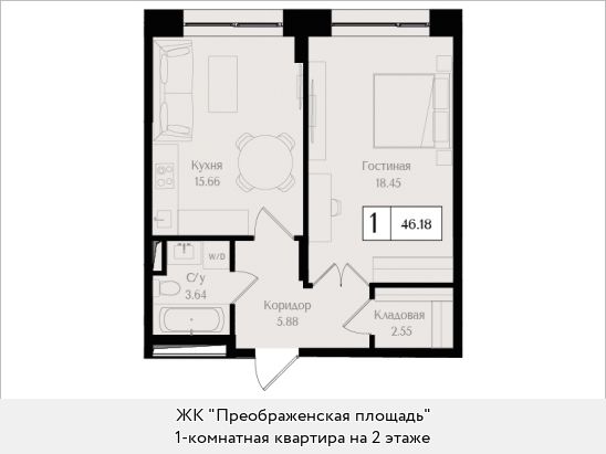 46,2 м², 1-комн. квартира, 2/17 этаж