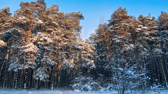 Продажа участка, 50,9 сотки