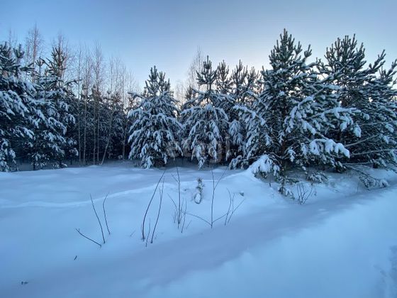 Продажа участка, 10 соток