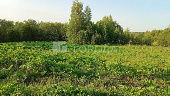 Продажа участка, 20 соток