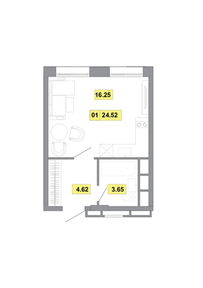 Продажа 1-комнатной квартиры 24,5 м², 9 этаж
