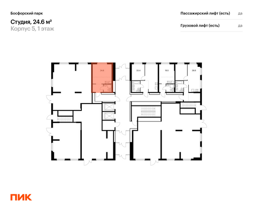 Продажа квартиры-студии 24,6 м², 1/17 этаж