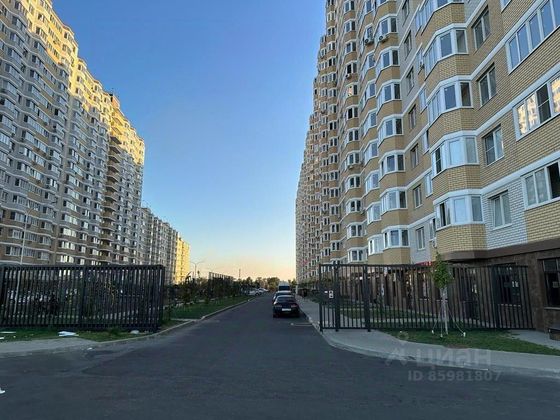 Продажа квартиры-студии 20,9 м², 11/19 этаж