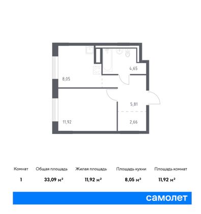 33,1 м², 1-комн. квартира, 8/9 этаж