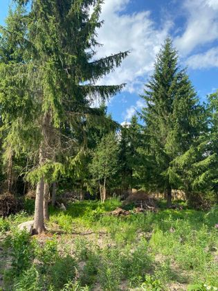 Продажа участка, 20 соток