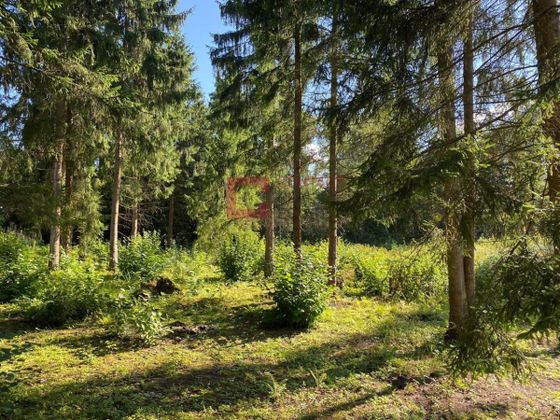 Продажа участка, 75 соток