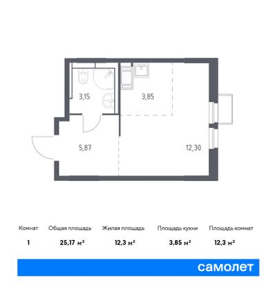 25,2 м², студия, 16/25 этаж