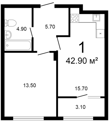 42,8 м², 1-комн. квартира, 1/10 этаж