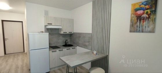 Аренда квартиры-студии 19,8 м², 6/25 этаж