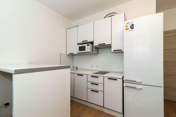 Аренда квартиры-студии 26,3 м², 7/11 этаж