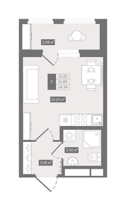 24,3 м², студия, 9/12 этаж