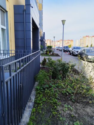 Аренда квартиры-студии 30 м², 14/18 этаж