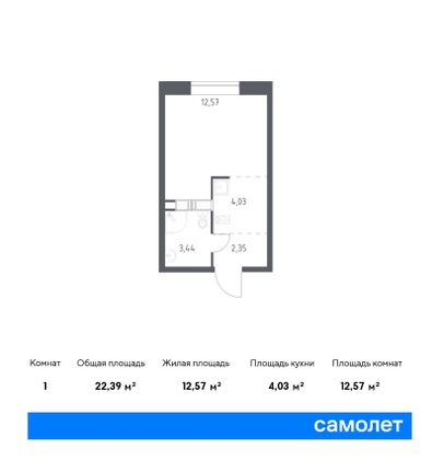 22,4 м², студия, 17/21 этаж