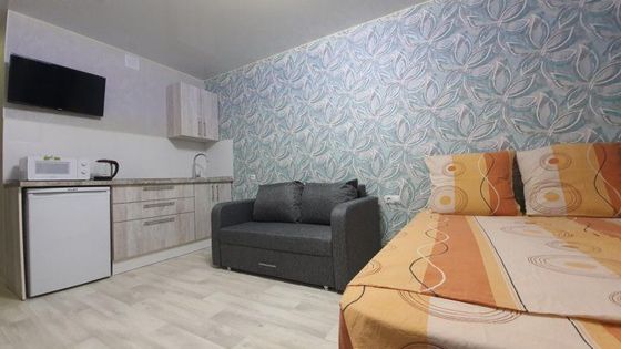 Аренда квартиры-студии 30 м², 1/17 этаж