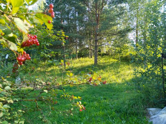 Продажа участка, 7 соток