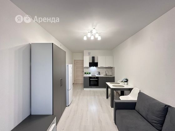 Аренда квартиры-студии 25 м², 5/8 этаж