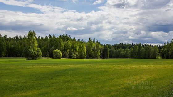 Продажа участка, 91,2 сотки