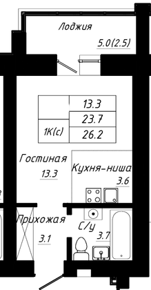 Продажа 1-комнатной квартиры 26,2 м², 6/10 этаж