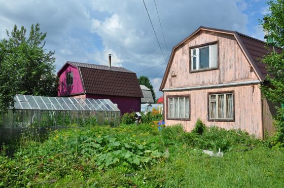 Продажа дома, 48 м², с участком 4,9 сотки