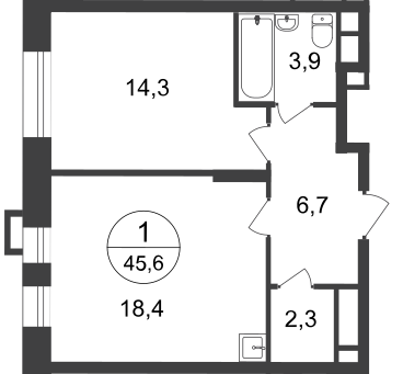 Продажа 1-комнатной квартиры 45,6 м², 20/20 этаж