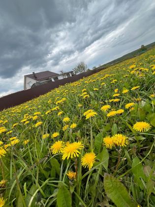 Продажа участка, 13,3 сотки