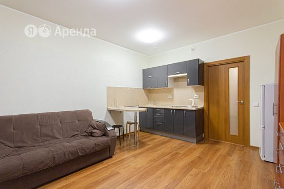 Аренда квартиры-студии 24 м², 13/25 этаж