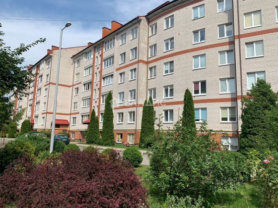 Продажа 1-комнатной квартиры 54,2 м², 5/5 этаж