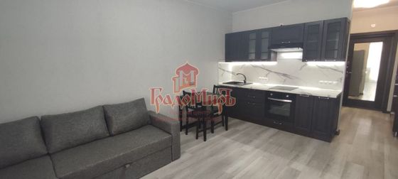 Продажа 1-комнатной квартиры 24,5 м², 6/9 этаж