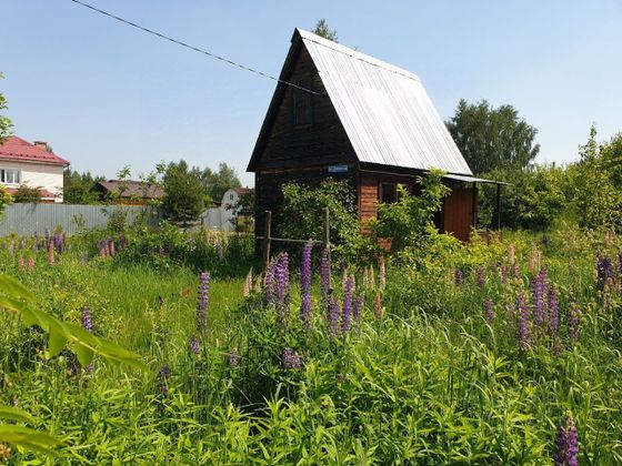 Продажа участка, 6 соток