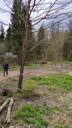 Продажа участка, 12,6 сотки