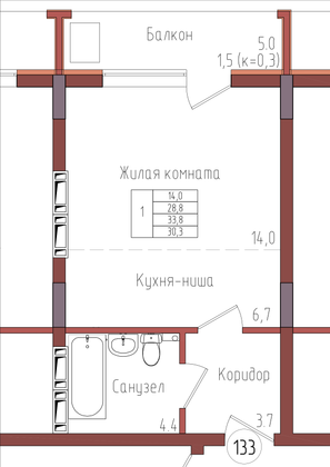 30,3 м², 1-комн. квартира, 8/9 этаж